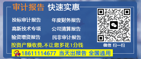 投标审计报告要求_招投标对审计报告的要求