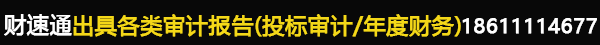 石嘴山招投标审计报告收费标准_出具年度财务审计报告多少钱-投标用审计报告